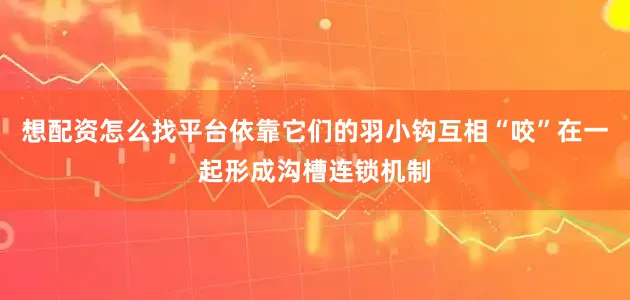 想配资怎么找平台依靠它们的羽小钩互相“咬”在一起形成沟槽连锁机制