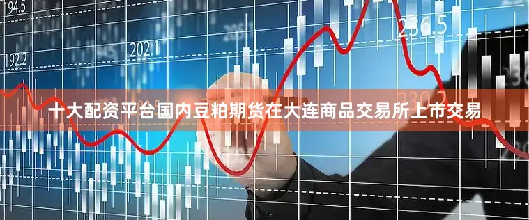 十大配资平台国内豆粕期货在大连商品交易所上市交易