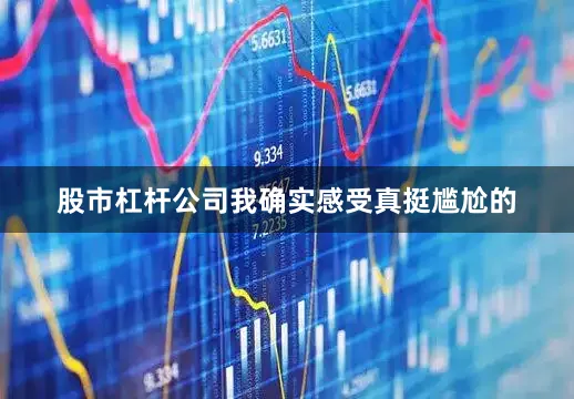 股市杠杆公司我确实感受真挺尴尬的