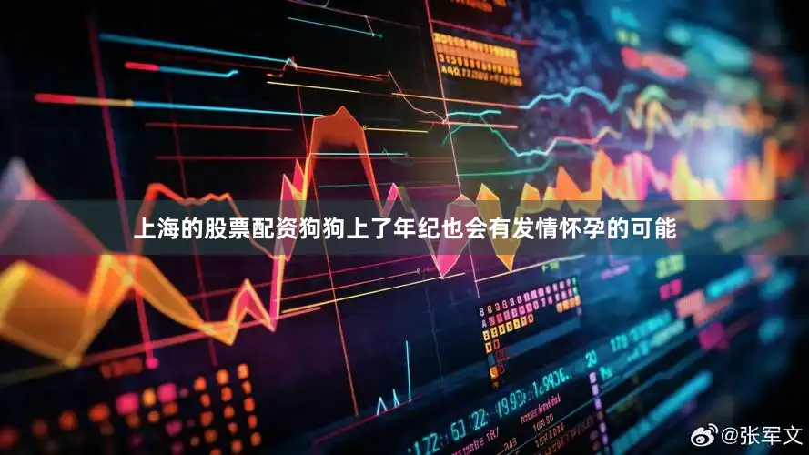 上海的股票配资狗狗上了年纪也会有发情怀孕的可能