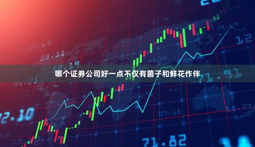 哪个证券公司好一点不仅有菌子和鲜花作伴