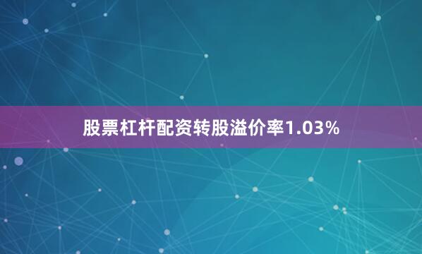 股票杠杆配资转股溢价率1.03%