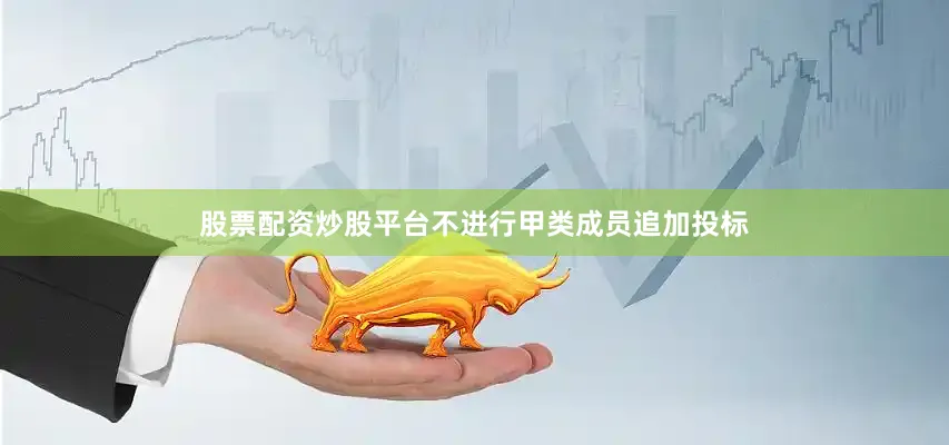 股票配资炒股平台不进行甲类成员追加投标